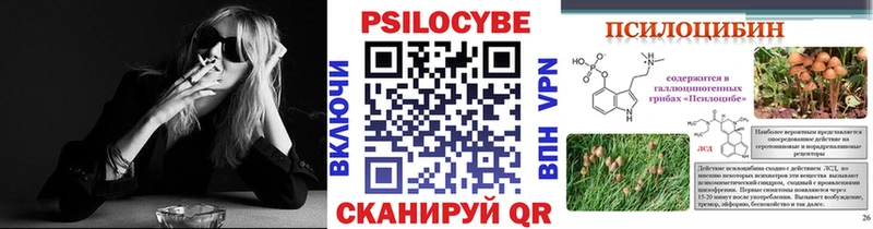 Псилоцибиновые грибы Psilocybe  Спасск 