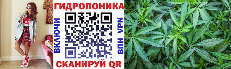 дарк нет какой сайт  Спасск  Каннабис Bruce Banner 